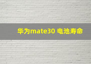 华为mate30 电池寿命